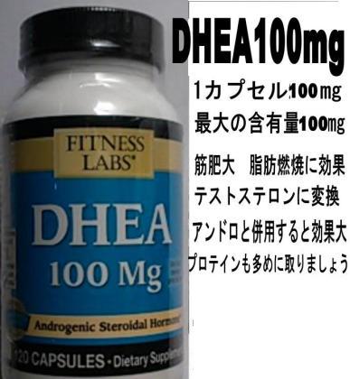 DHEA100㎎